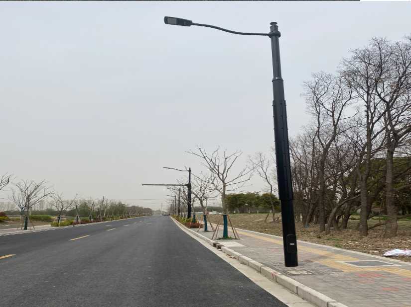 泾源县上海综合杆 太阳能路灯工程